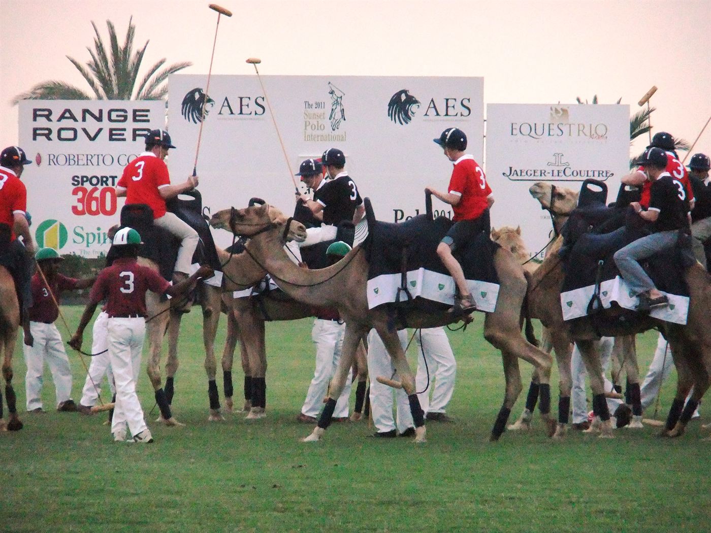 Kamelpolo-Turnier bei einem Incentive in Dubai